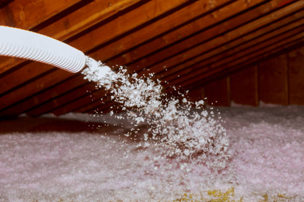 Best Residential Insulation in Algonquin, MD