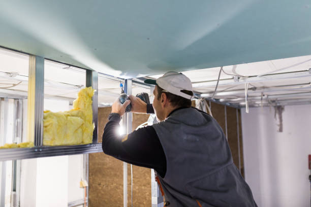 Professional Insulation Contractor in Algonquin, MD