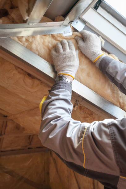 Types of Insulation We Offer in Algonquin, MD