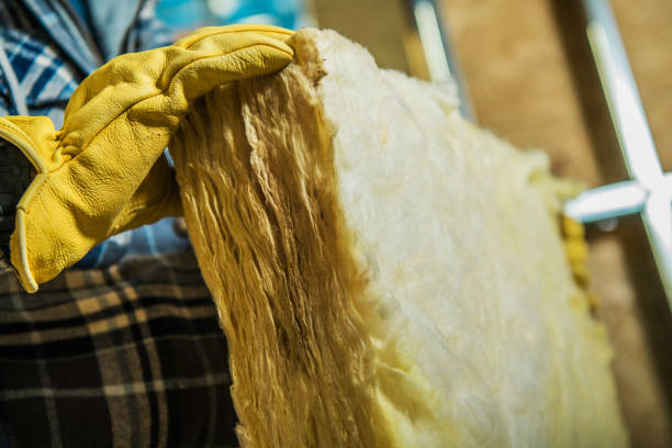 Best Blown-in Insulation in Algonquin, MD