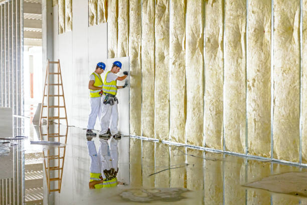 Best Energy Efficiency Insulation in Algonquin, MD